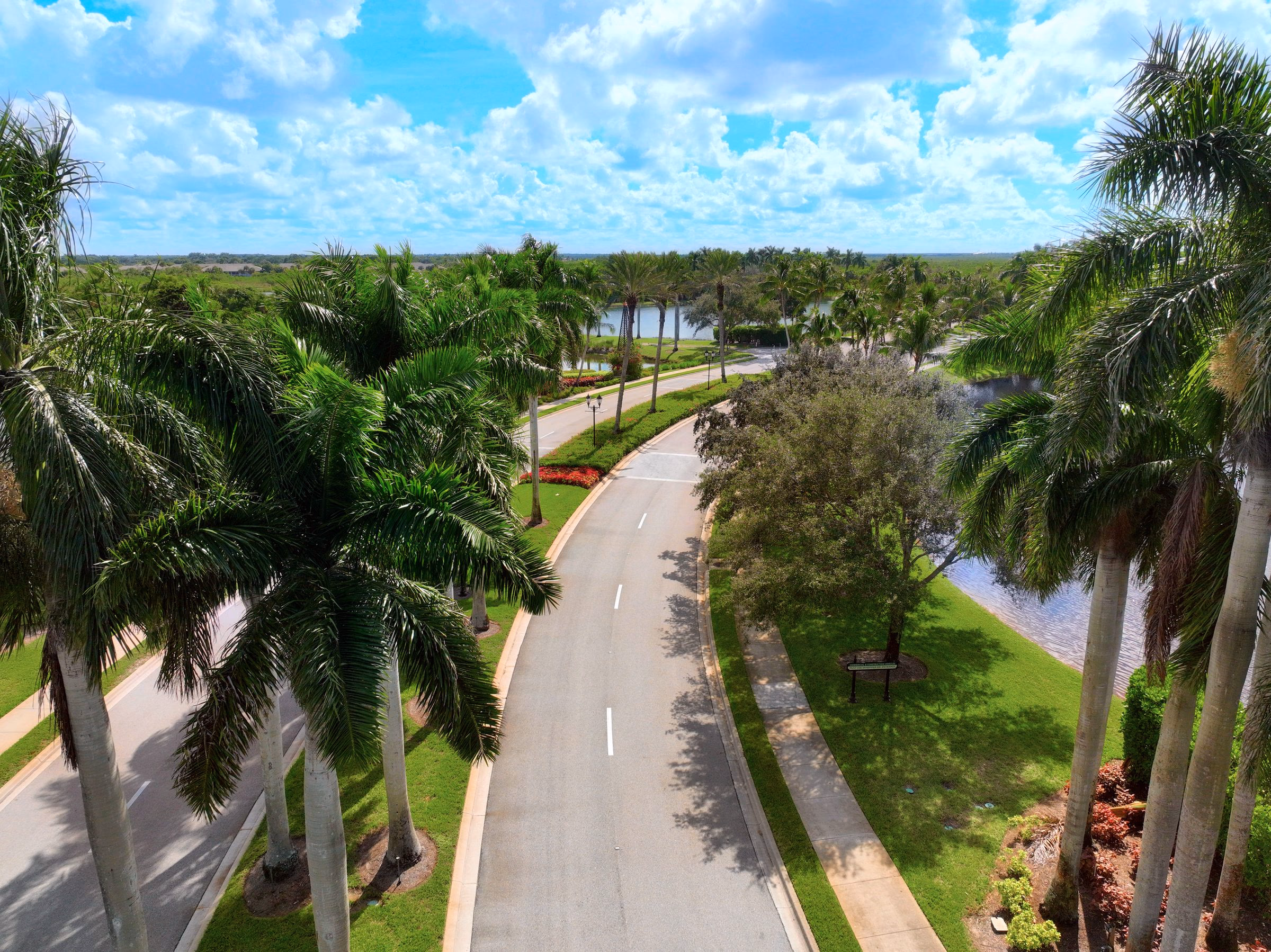 Aerial of a royal palm lined community entry road in Southwest Florida