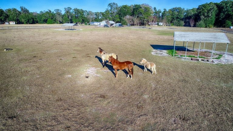 Florida drone photography